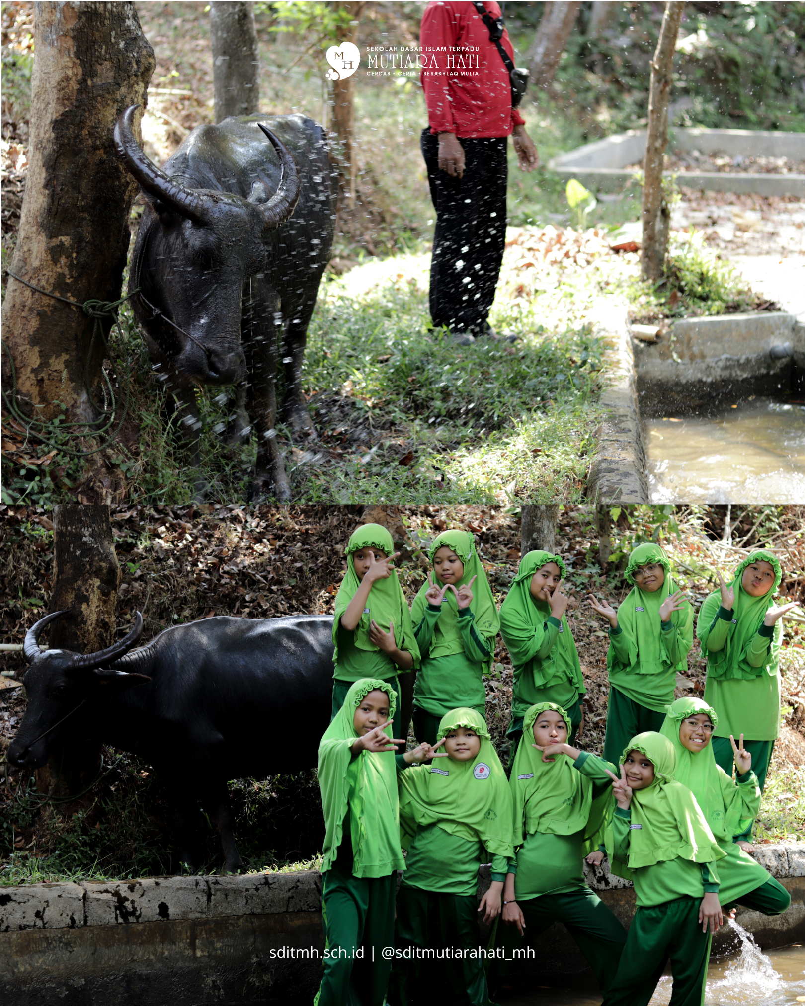 Siswa kelas 5 SDIT Mutiara Hati saat mengikuti kegiatan outbound di Kampung Kahuripan Cirangkong Purwakarta